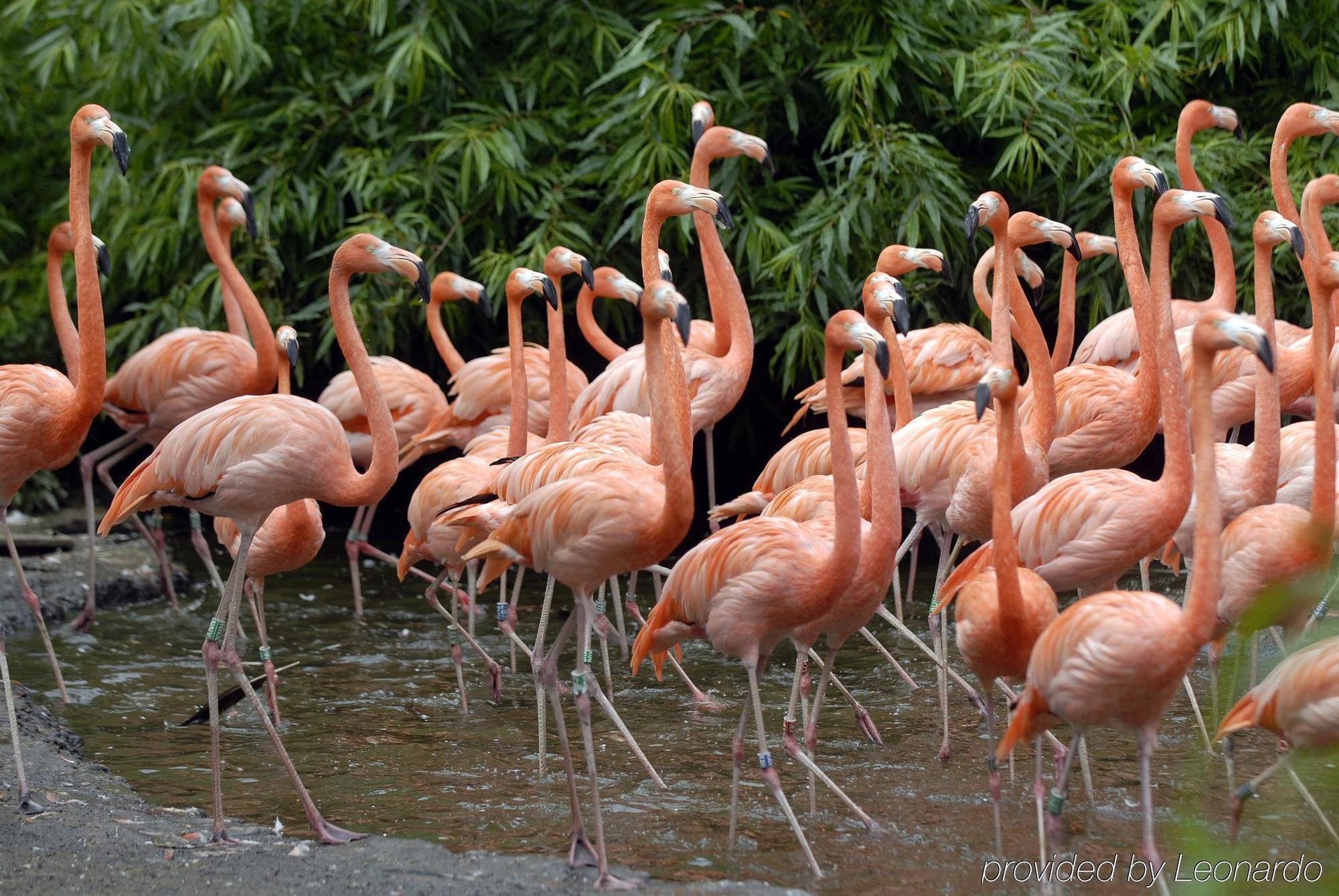 Der Valk Avifauna Hotel 4*