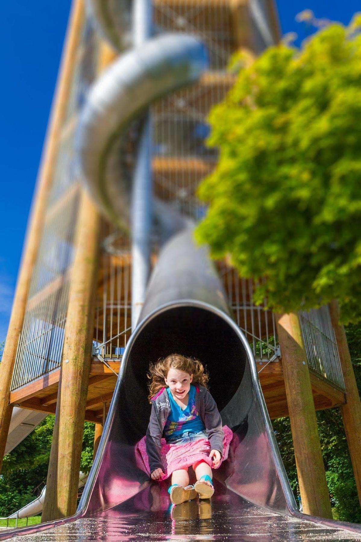 Der Valk Avifauna 4*